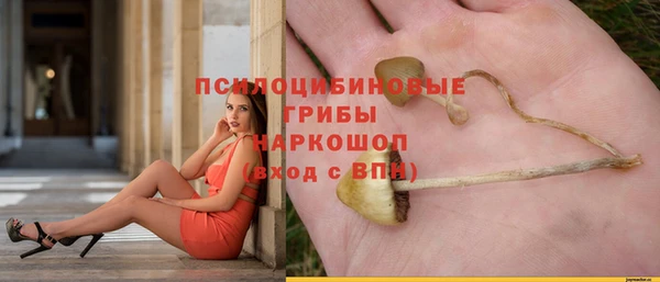 скорость Абаза