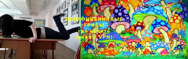 эйфоретик Наволоки