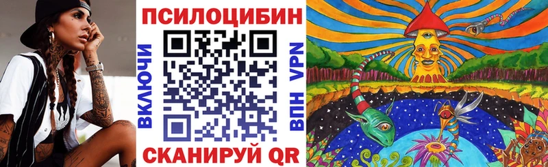 Галлюциногенные грибы Psilocybe Пойковский